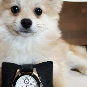 ساعت 4 موتوره TAG HEUER 5738G اصل سویسی