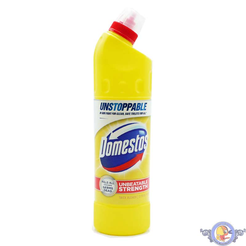 Domestos Thick Bleach Disinfenctant