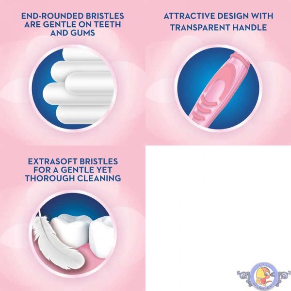 مسواک اورال-بی Gum & Enamel بسته دو عددی