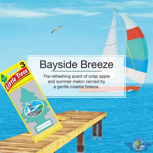 خوشبوکننده خودرو لیتل تریس Little Trees