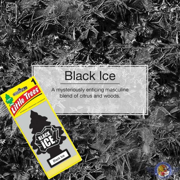 خوشبوکننده خودرو لیتل تریس Little Trees