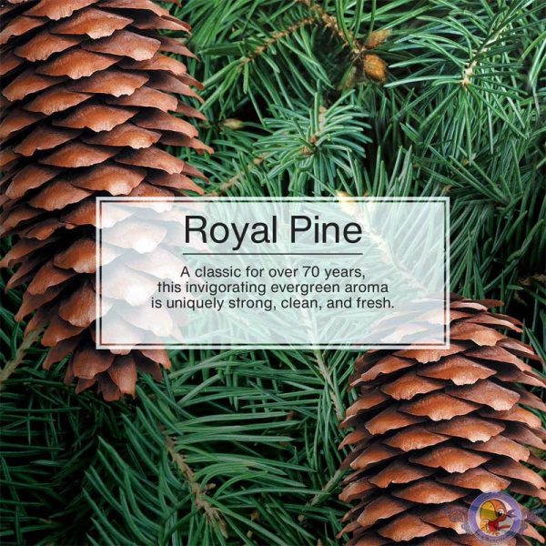 خوشبوکننده خودرو لیتل تریس Little Trees