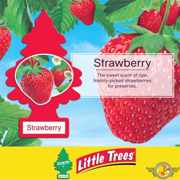 خوشبوکننده خودرو لیتل تریس Little Trees