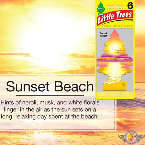 خوشبوکننده خودرو لیتل تریس Little Trees