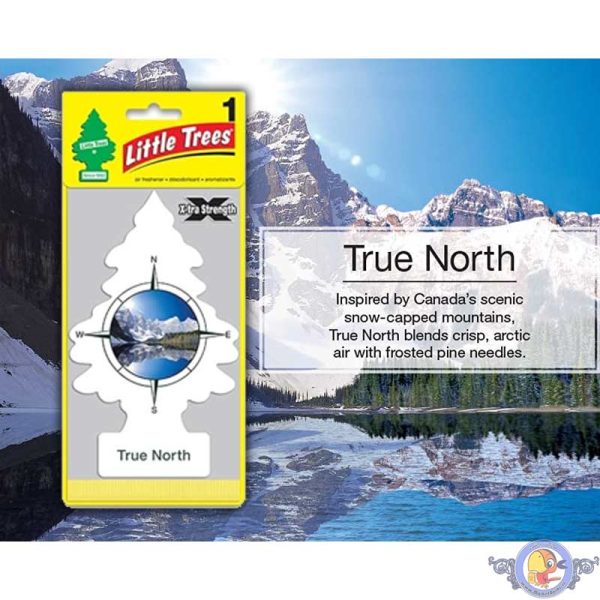 خوشبوکننده خودرو لیتل تریس Little Trees