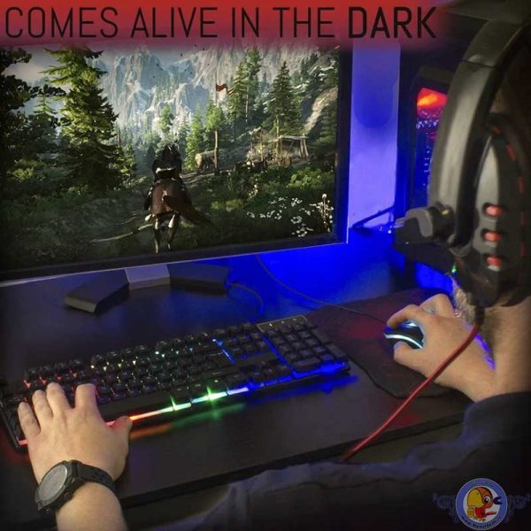 ست گیمینگ اورزلی مدل HORNET_RX_250_NEON BACKLIGHT