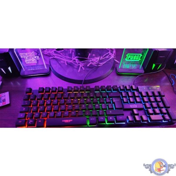 ست گیمینگ اورزلی مدل HORNET_RX_250_NEON BACKLIGHT